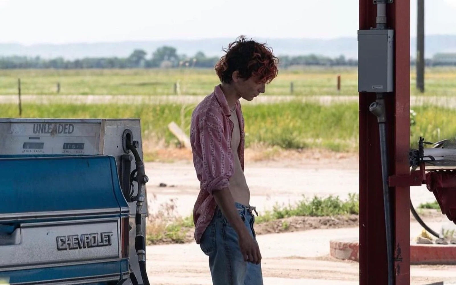 2023 Oscars: Best Adapted Screenplay Contenders — image 6
