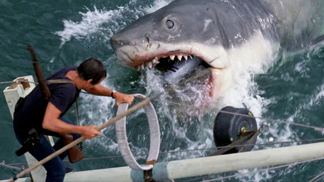 The Antagonists of JAWS: An Analysis